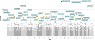 Corrigendum: Genome-wide association study identifying variants related to performance and injury in high-performance athletes